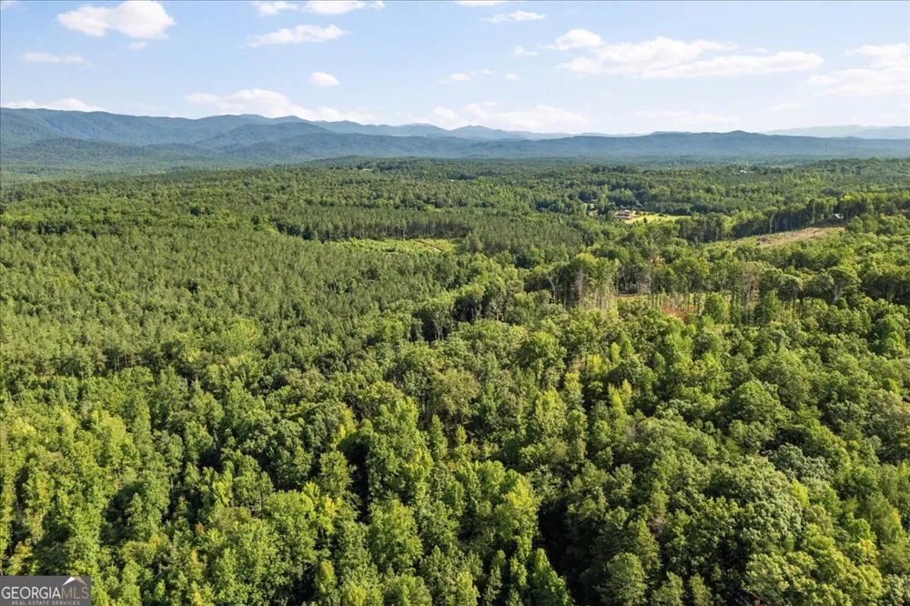 LOT 1 & 2 The Bear BLVD Tamassee, SC 29696