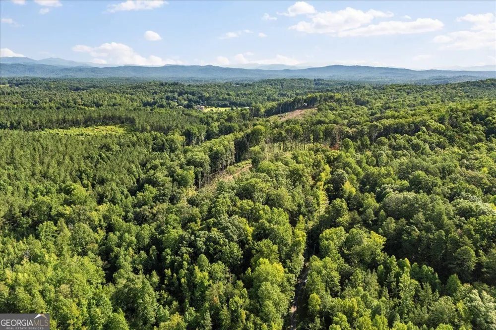LOT 1 & 2 The Bear BLVD Tamassee, SC 29696