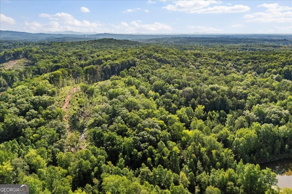 LOT 1 & 2 The Bear BLVD Tamassee, SC 29696