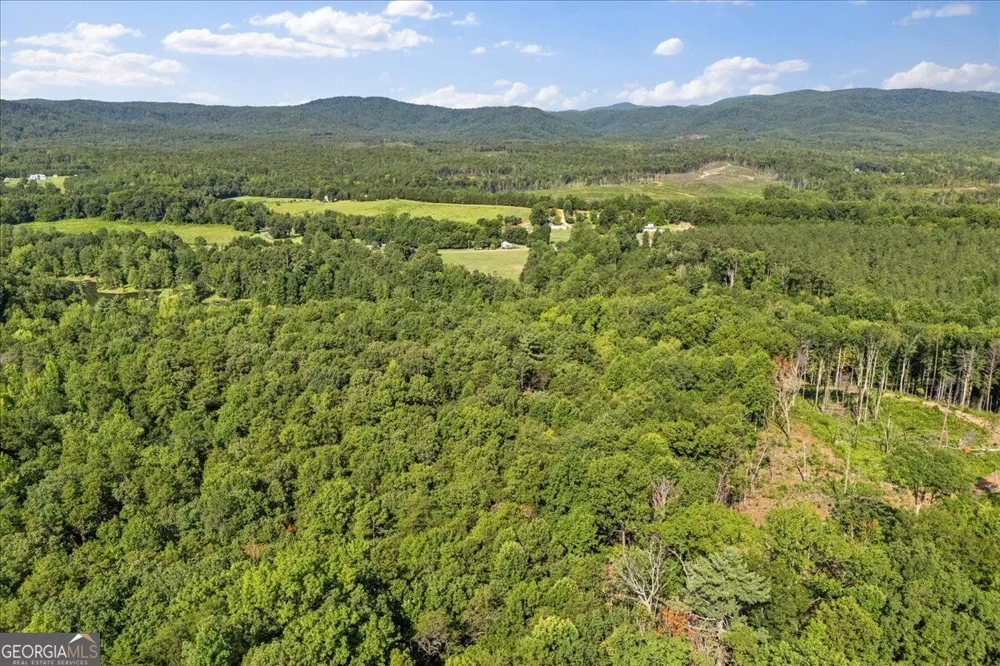 LOT 1 & 2 The Bear BLVD Tamassee, SC 29696