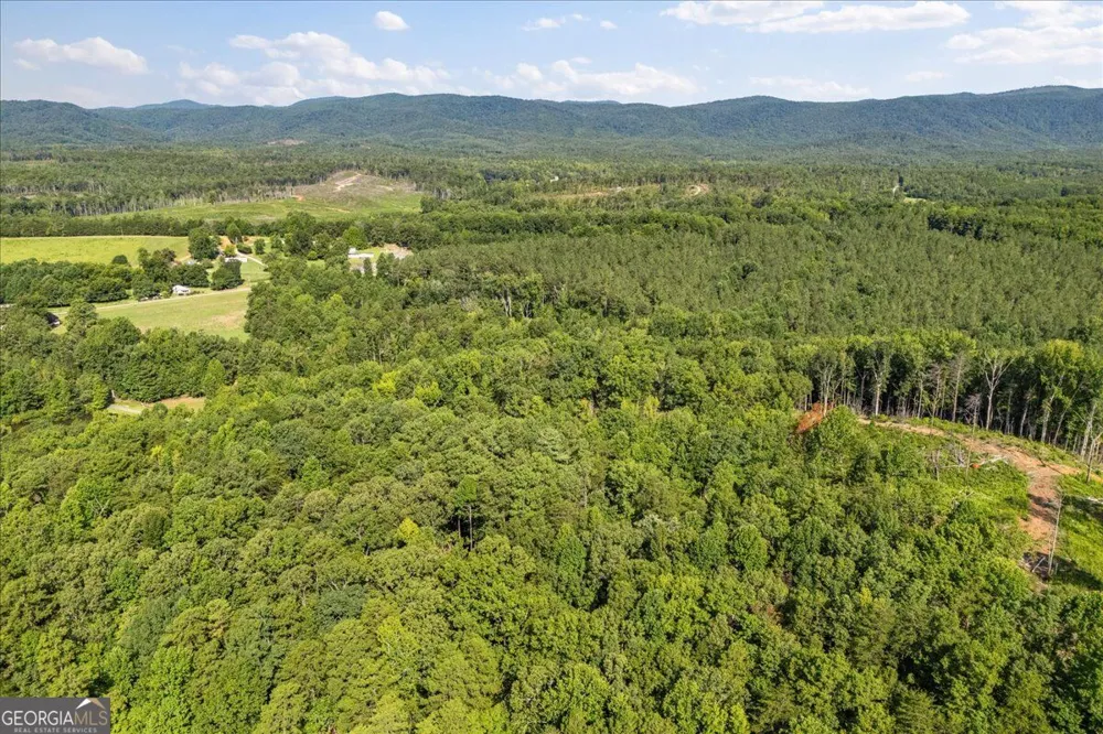 LOT 1 & 2 The Bear BLVD Tamassee, SC 29696