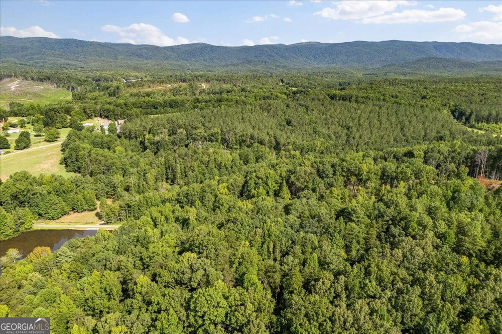 LOT 1 & 2 The Bear BLVD Tamassee, SC 29696