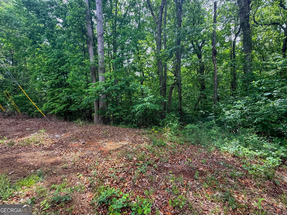 99 Lake Harbor TRL Martin, GA 30557
