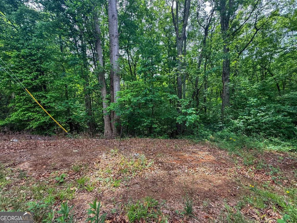 99 Lake Harbor TRL Martin, GA 30557