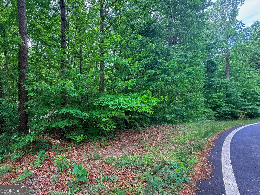 99 Lake Harbor TRL Martin, GA 30557