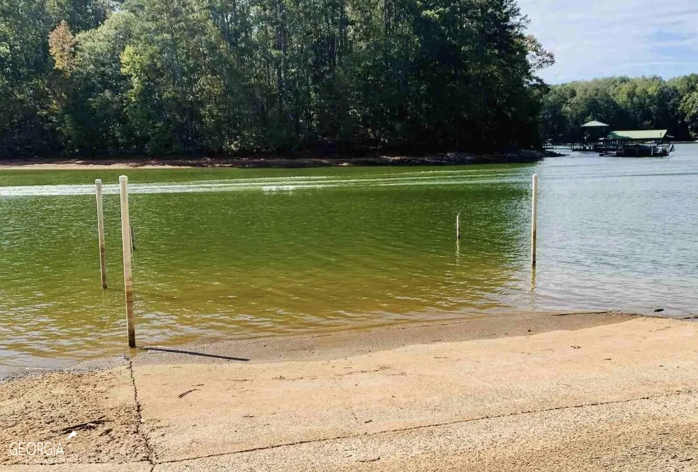 99 Lake Harbor TRL Martin, GA 30557
