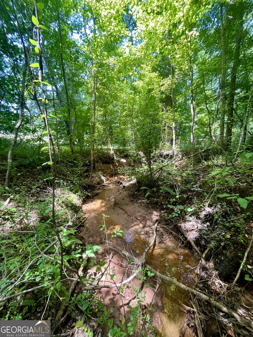 3015 1/2 Old West Point RD LaGrange, GA 30240
