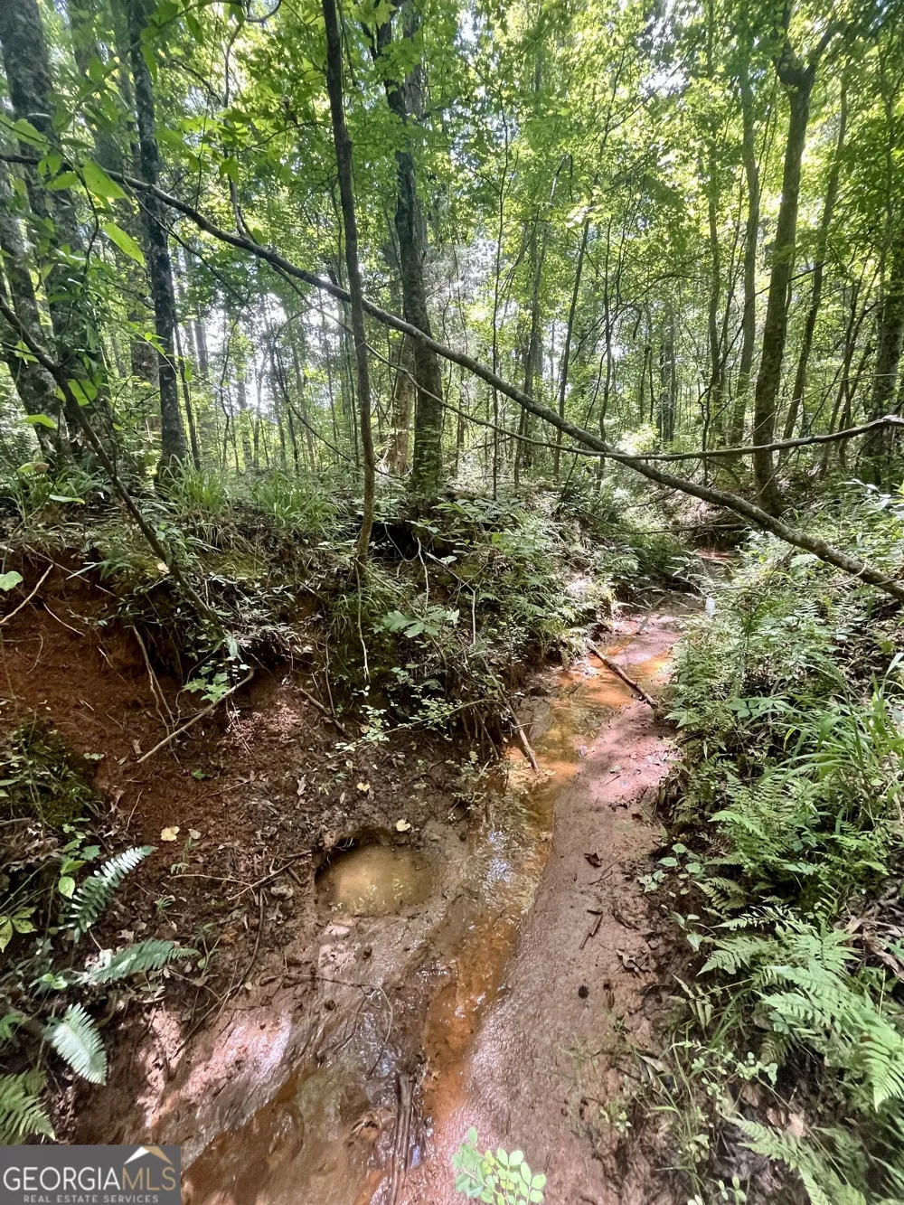 3015 1/2 Old West Point RD LaGrange, GA 30240