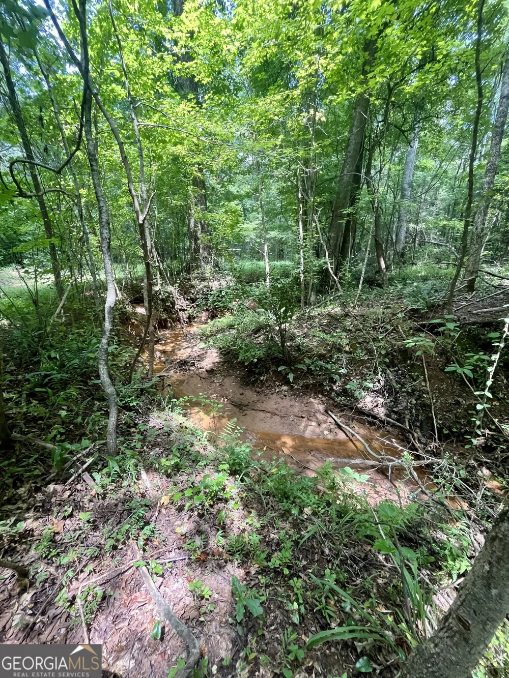 3015 1/2 Old West Point RD LaGrange, GA 30240