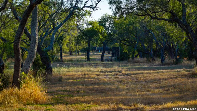 106 County Road 253 Poth, TX 78147