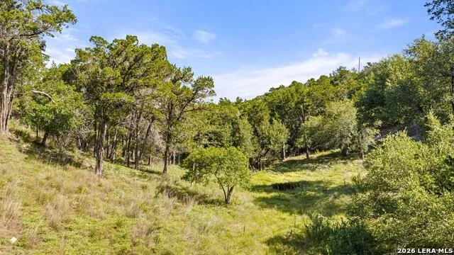 1101 Windy Hills Rd Dripping Springs, TX 78620