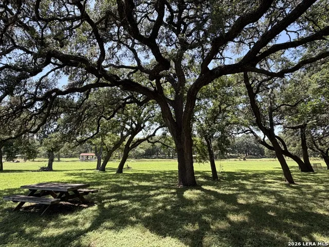 174 RIVER HAVEN RD Utopia, TX 78884