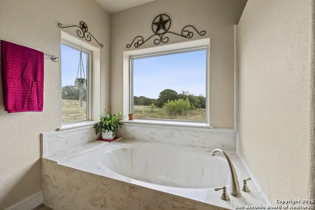 362 Coneflower Spring Branch, TX 78070