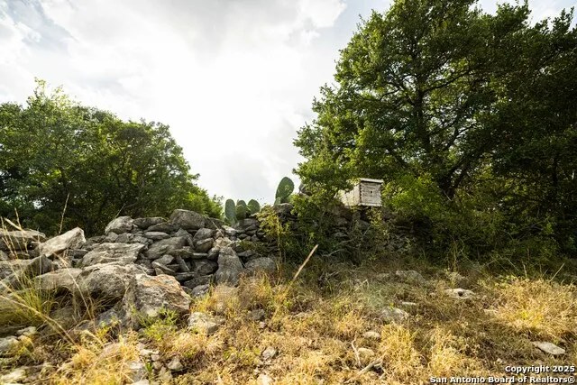 362 Coneflower Spring Branch, TX 78070