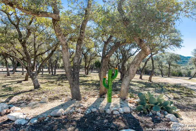 381 Camino Primero Leakey, TX 78873