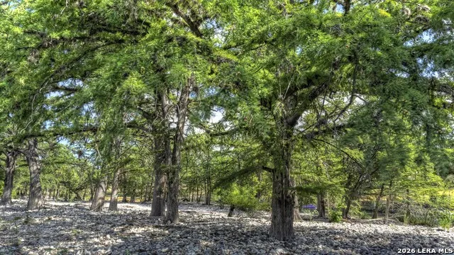200 Skippin Stone Ln Concan, TX 78838