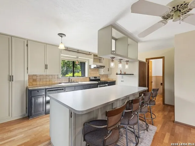 213 Cardinal Ln Fredericksburg, TX 78624