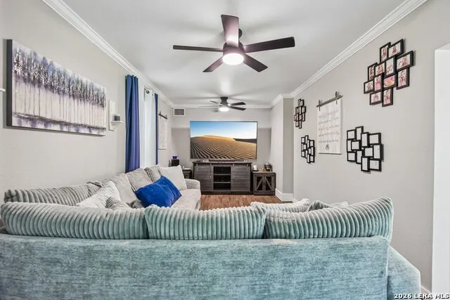 11039 Javalin Helotes, TX 78023
