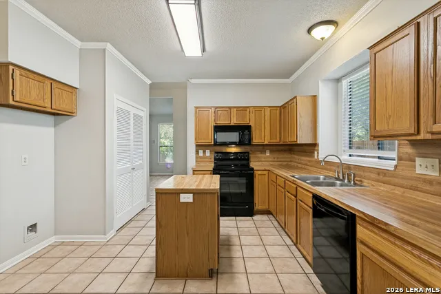 3512 William Scarbrough Schertz, TX 78154