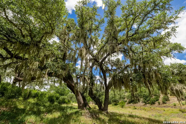 0007 Hidden Springs Ranch Spring Branch, TX 78070