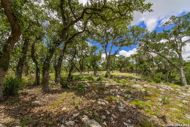 0007 Hidden Springs Ranch Spring Branch, TX 78070