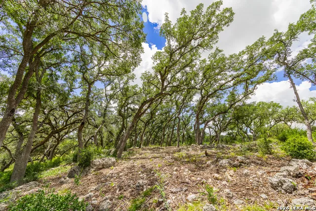 0007 Hidden Springs Ranch Spring Branch, TX 78070