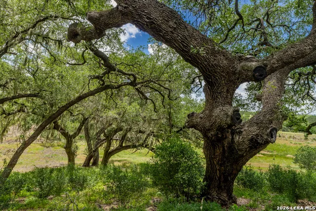0007 Hidden Springs Ranch Spring Branch, TX 78070