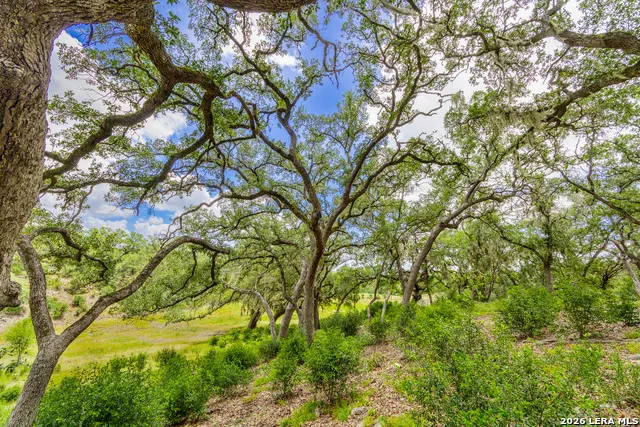 0007 Hidden Springs Ranch Spring Branch, TX 78070