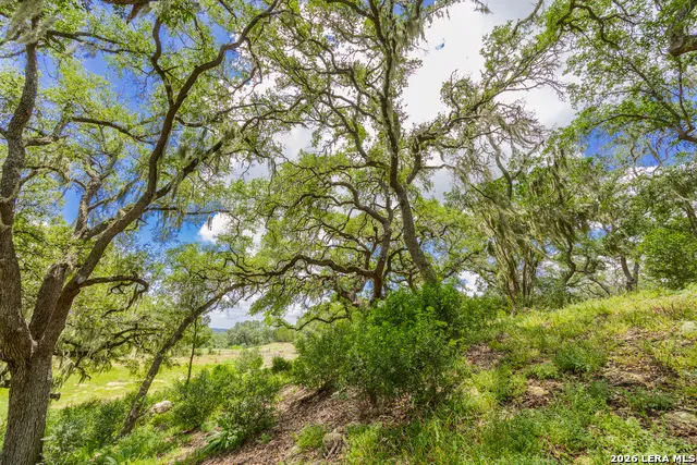 0007 Hidden Springs Ranch Spring Branch, TX 78070