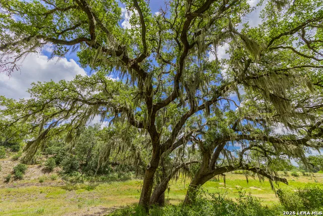 0007 Hidden Springs Ranch Spring Branch, TX 78070
