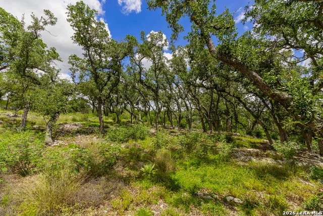 0007 Hidden Springs Ranch Spring Branch, TX 78070