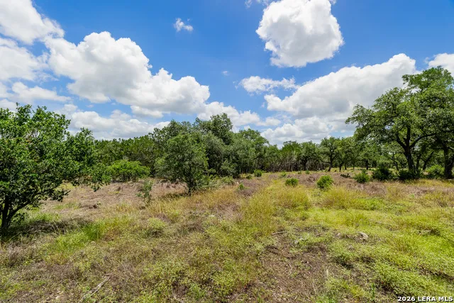 0007 Hidden Springs Ranch Spring Branch, TX 78070