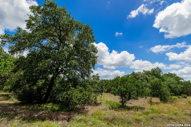 0007 Hidden Springs Ranch Spring Branch, TX 78070
