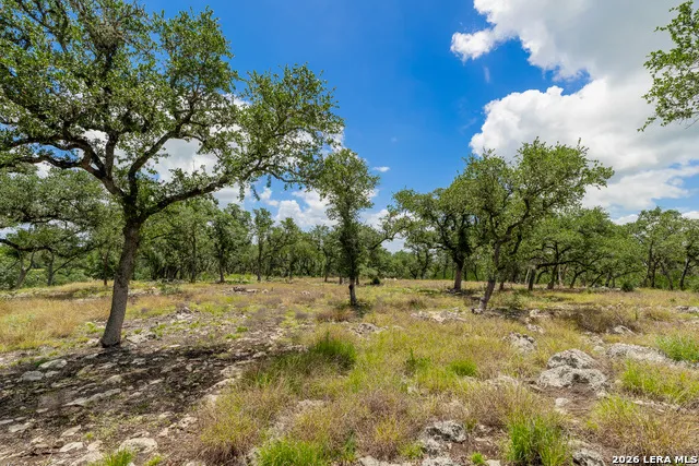 0007 Hidden Springs Ranch Spring Branch, TX 78070