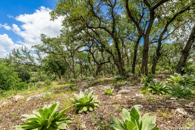 0007 Hidden Springs Ranch Spring Branch, TX 78070