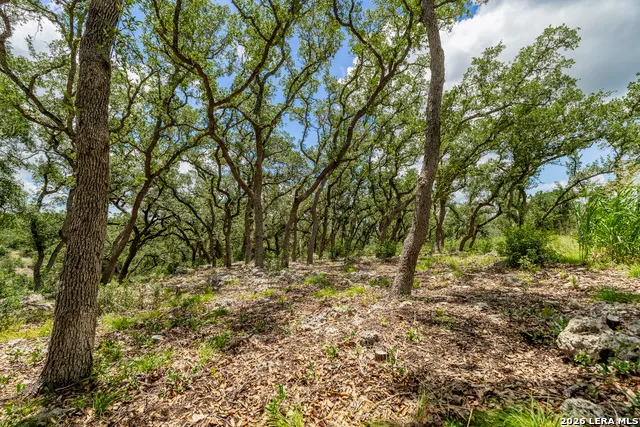 0007 Hidden Springs Ranch Spring Branch, TX 78070