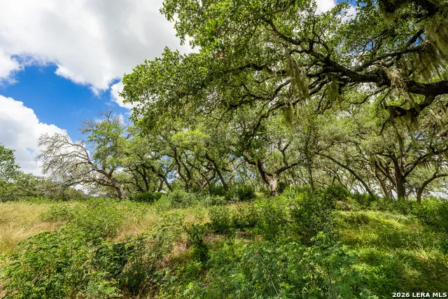 0007 Hidden Springs Ranch Spring Branch, TX 78070