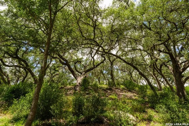 0007 Hidden Springs Ranch Spring Branch, TX 78070