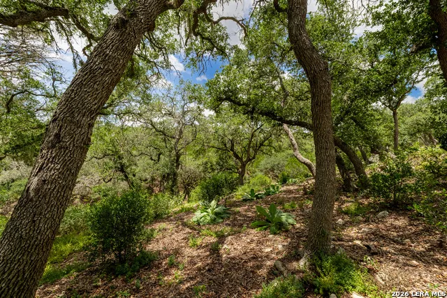 0007 Hidden Springs Ranch Spring Branch, TX 78070