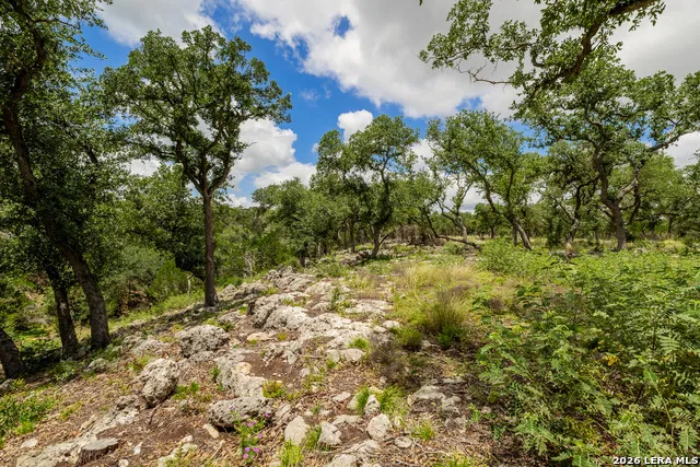 0007 Hidden Springs Ranch Spring Branch, TX 78070