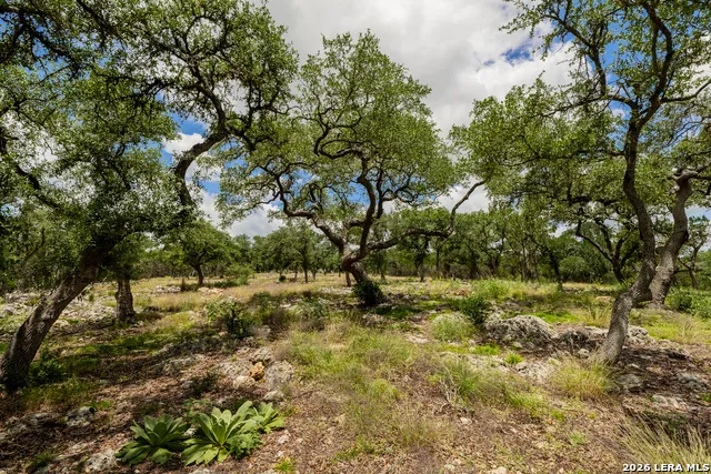 0007 Hidden Springs Ranch Spring Branch, TX 78070