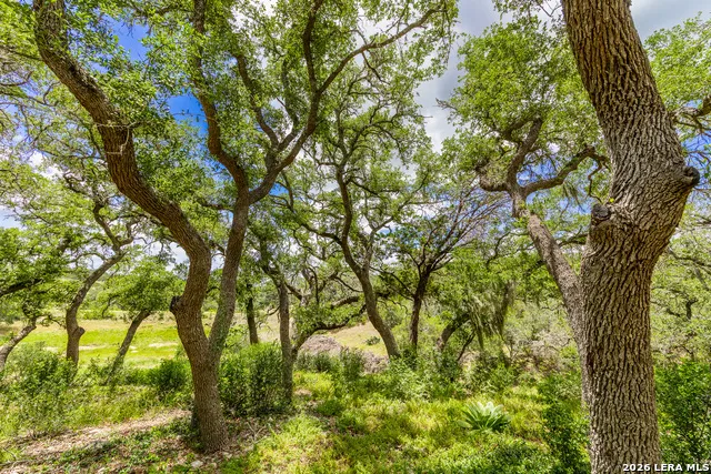 0007 Hidden Springs Ranch Spring Branch, TX 78070