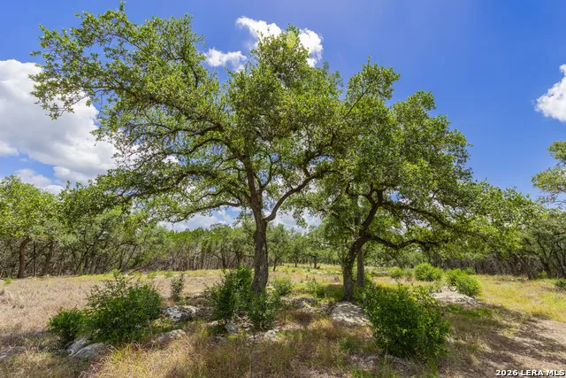 0007 Hidden Springs Ranch Spring Branch, TX 78070
