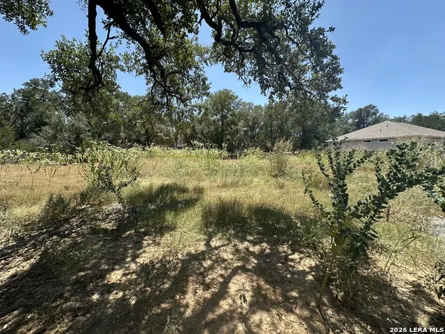 2855 WESTERN SKIES DR Spring Branch, TX 78070