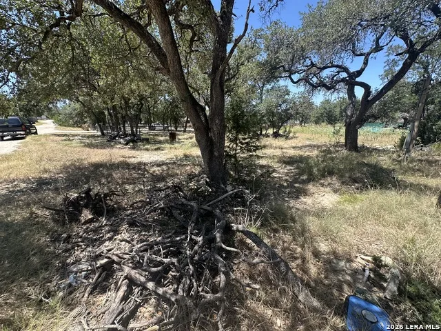 2855 WESTERN SKIES DR Spring Branch, TX 78070