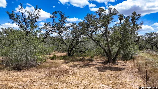 20 Clear Lake Loop Poteet, TX 78065