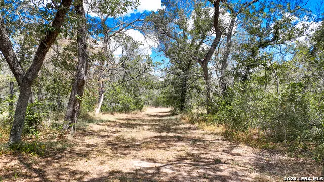 20 Clear Lake Loop Poteet, TX 78065