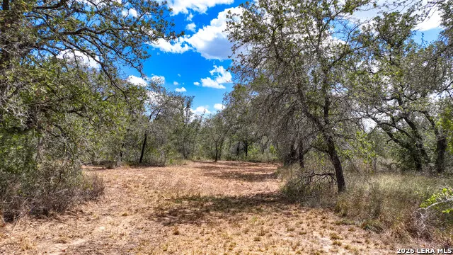 20 Clear Lake Loop Poteet, TX 78065