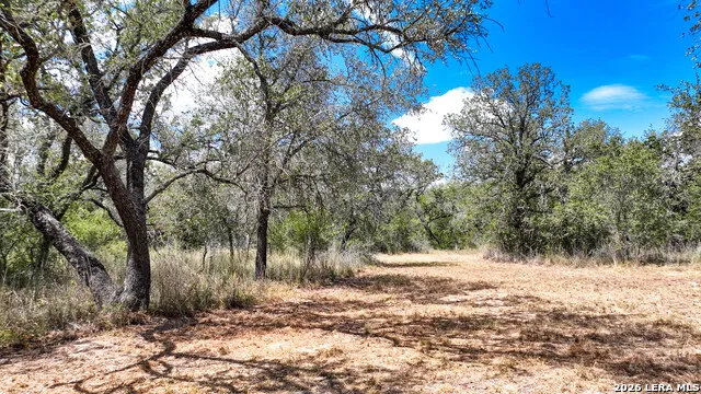 20 Clear Lake Loop Poteet, TX 78065