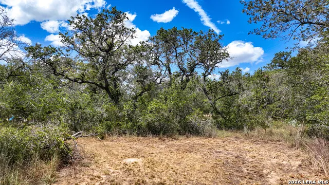 20 Clear Lake Loop Poteet, TX 78065